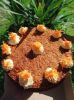 Imagen de Carrot cake
