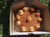 Imagen de Carrot cake